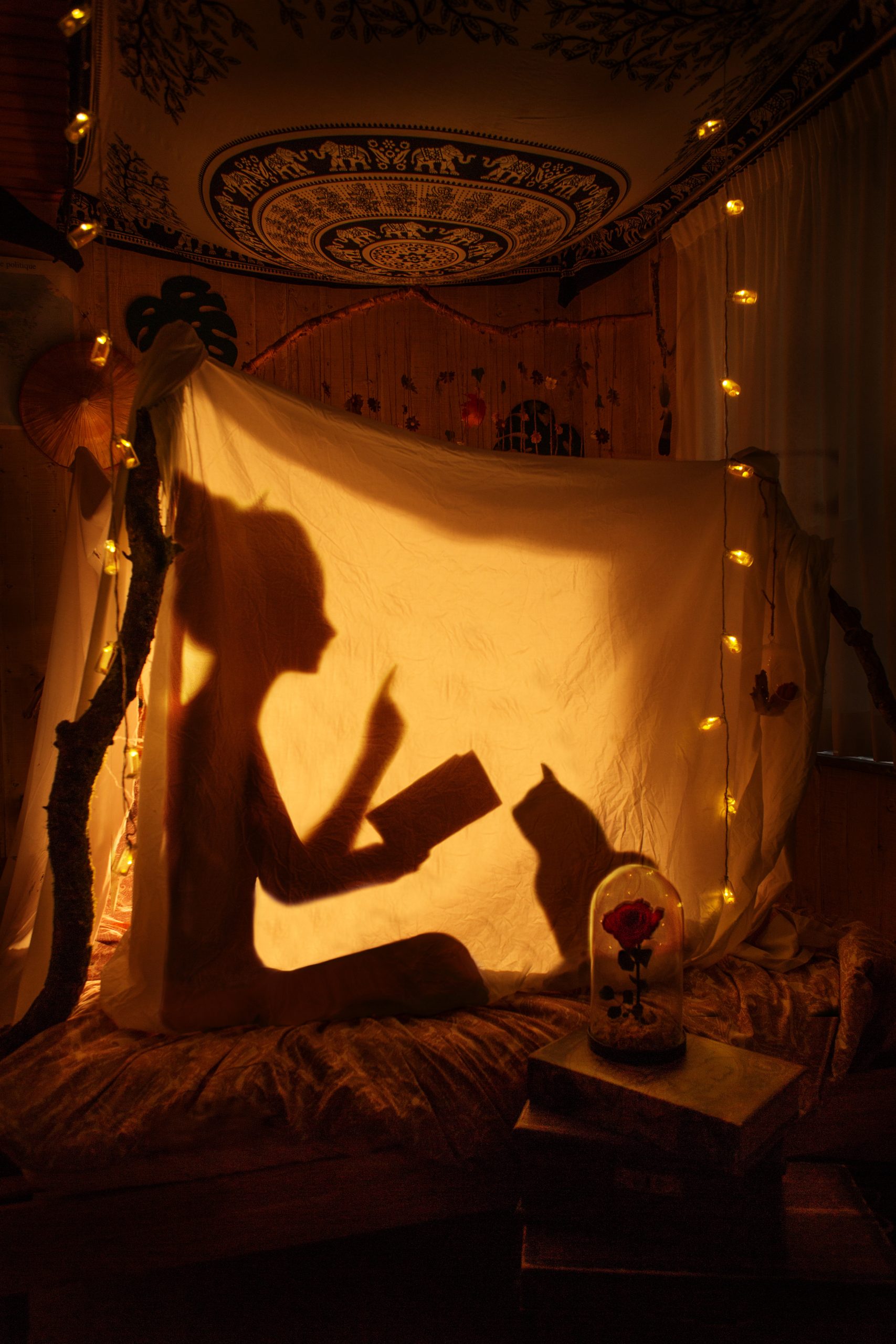 FLORIEGRAPHIE_stay Home