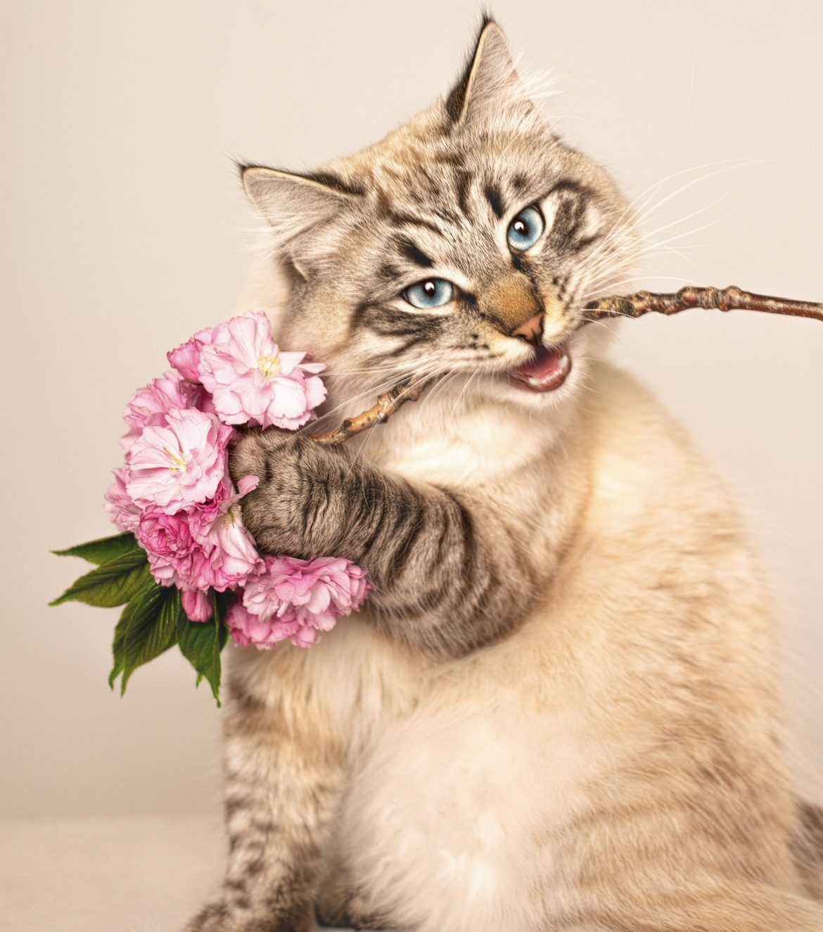 FLORIEGRAPHIE - MA DESCENT